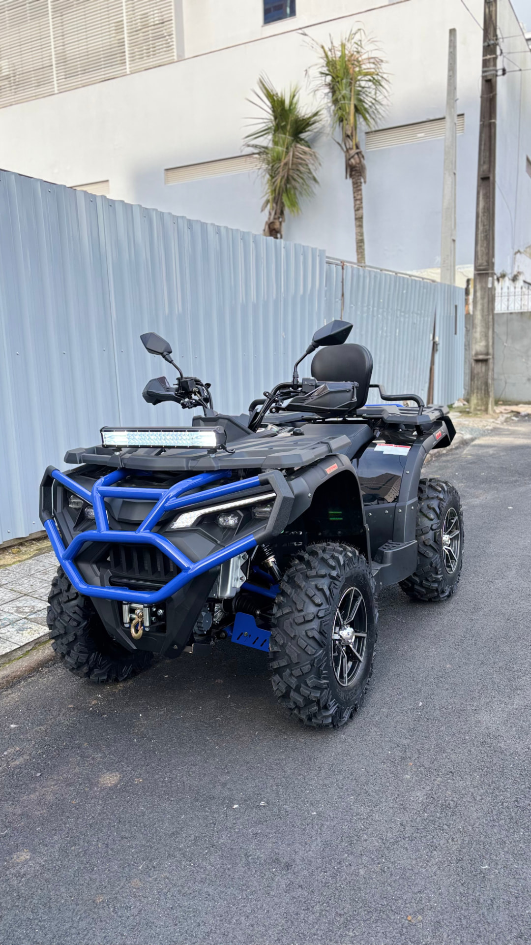 Lion 580 — foto 1 de 42